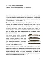 Referāts 'Zobu protezēšana', 8.