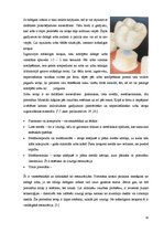 Referāts 'Zobu protezēšana', 10.