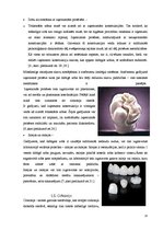 Referāts 'Zobu protezēšana', 13.