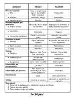 Referāts 'Saskarsme ar klientiem', 8.