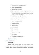 Referāts 'Personālvadības principu īstenošana Latvijas Pastā', 6.