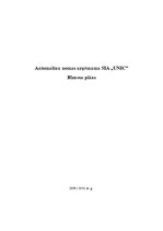 Biznesa plāns 'Automašīnu nomas uzņēmuma biznesa plāns', 1.