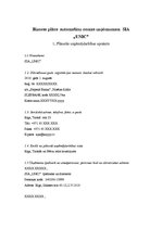 Biznesa plāns 'Automašīnu nomas uzņēmuma biznesa plāns', 2.