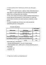 Biznesa plāns 'Automašīnu nomas uzņēmuma biznesa plāns', 6.