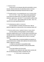 Biznesa plāns 'Automašīnu nomas uzņēmuma biznesa plāns', 8.