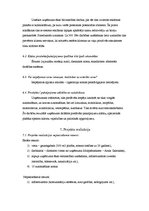 Biznesa plāns 'Automašīnu nomas uzņēmuma biznesa plāns', 9.