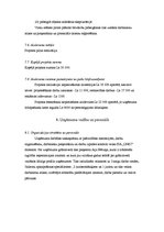 Biznesa plāns 'Automašīnu nomas uzņēmuma biznesa plāns', 11.