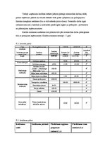 Biznesa plāns 'Automašīnu nomas uzņēmuma biznesa plāns', 13.