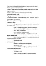 Biznesa plāns 'Automašīnu nomas uzņēmuma biznesa plāns', 15.