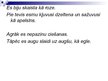Prezentācija 'Sieviete musulmaņu sabiedrībā', 15.