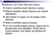 Prezentācija 'Sieviete musulmaņu sabiedrībā', 28.
