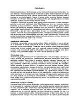 Konspekts 'Globalizācija', 1.