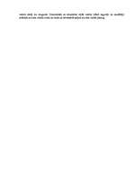 Konspekts 'Globalizācija', 2.