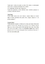 Paraugs 'Elektronikas eksāmena atbildes', 43.