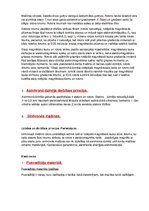 Paraugs 'Elektronikas eksāmena atbildes', 55.