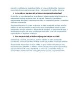 Paraugs 'Sadarbība un ietekmes starptautiskajā politikā', 2.