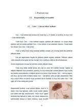 Referāts '"Coca – Cola" esošo vielu ietekme uz cilvēka veselību, pārtikas produktiem un sa', 11.