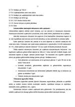 Prakses atskaite 'Prakses atskaite grāmatvedībā', 15.