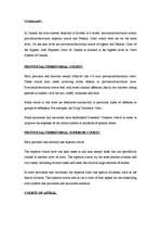 Konspekts 'Summary of Canada Court System', 1.