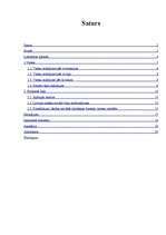 Referāts 'Priekšlikumi ideālas sociālas tīklošanas tīmekļa vietnes izstrādei', 4.