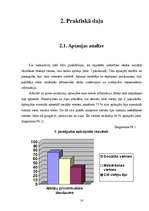 Referāts 'Priekšlikumi ideālas sociālas tīklošanas tīmekļa vietnes izstrādei', 12.