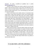 Referāts 'Priekšlikumi ideālas sociālas tīklošanas tīmekļa vietnes izstrādei', 14.