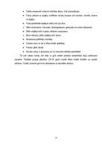 Referāts 'Priekšlikumi ideālas sociālas tīklošanas tīmekļa vietnes izstrādei', 18.