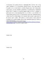 Diplomdarbs 'Apgādnieka zaudējuma pensijas piešķiršanas problēmas un iespējamie risinājumi', 44.
