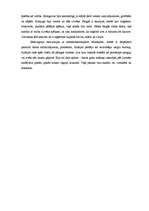 Eseja 'Ernesta Hemingveja stāsta "Sirmgalvis un jūra" analīze', 2.