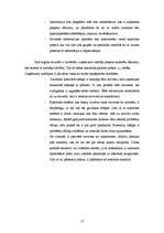 Biznesa plāns 'SIA "Pie kamīna"', 17.