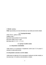 Referāts 'Sieviete - vadītāja', 8.