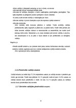 Referāts 'Sieviete - vadītāja', 10.