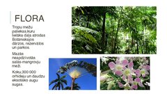 Prezentācija 'Singapūra', 7.