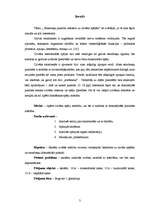 Referāts 'Smadzeņu pusložu ietekme uz cilvēka spējām', 5.