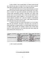 Referāts 'Smadzeņu pusložu ietekme uz cilvēka spējām', 12.