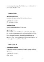 Prakses atskaite 'Kvalifikācijas prakses atskaite a/s "Reklāmdruka"', 15.