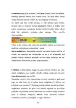 Prakses atskaite 'Kvalifikācijas prakses atskaite a/s "Reklāmdruka"', 103.