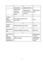 Prakses atskaite 'Kvalifikācijas prakses atskaite a/s "Reklāmdruka"', 172.