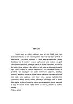 Referāts 'Mazie un vidējie uzņēmumi Latvijā', 2.