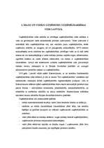 Referāts 'Mazie un vidējie uzņēmumi Latvijā', 10.