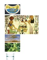 Prezentācija 'Dzērienu īpašību izpausmes alus etiķešu noformējumā', 11.