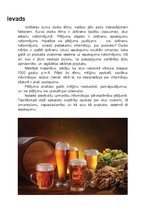 Prezentācija 'Dzērienu īpašību izpausmes alus etiķešu noformējumā', 15.