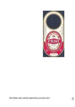 Prezentācija 'Dzērienu īpašību izpausmes alus etiķešu noformējumā', 60.