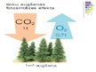Referāts 'Siltumnīcas efekta gāzes CO2 samazināšanas iespējas', 27.
