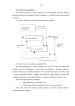 Referāts 'Laika menedžments organizācijā', 17.