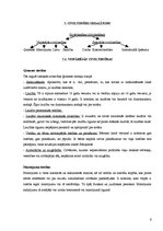 Referāts 'Civiltiesības', 6.