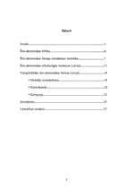 Referāts 'Ēnu ekonomika Latvijā', 2.