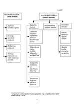 Referāts 'Ēnu ekonomika Latvijā', 9.