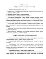 Prakses atskaite 'Prakse finanšu grāmatvedībā', 11.