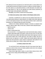 Prakses atskaite 'Prakse finanšu grāmatvedībā', 17.